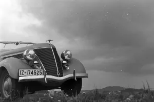 Kuhlergrill Prints: Gesicht des Ford V8