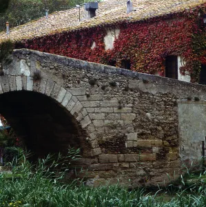 Aude