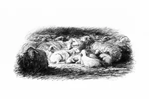 Gleichnisse aus dem Neuen Testament