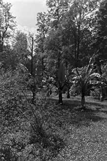 Woiwodschaft Schlesien Prints: Gleiwitz