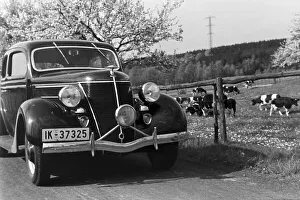 Ford Prints: Görlitz u. Burg Tschoda