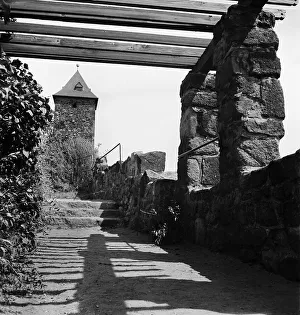 Halle/Saale