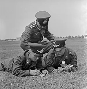 Azienda per la Gestione delle Uccelli di Guerra