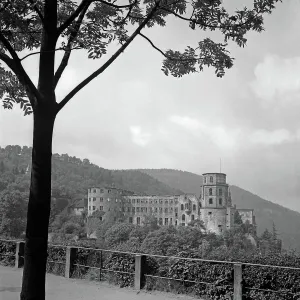 Heidelberg