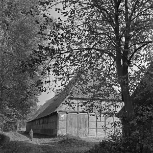 Herbstspaziergang