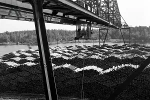 Holzumschlag sulla spiaggia di Norrsundet, Uppsala, Svezia, 1969