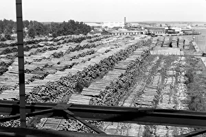 Holzumschlag en la playa de Norrsundet, Uppsala, Suecia, 1969