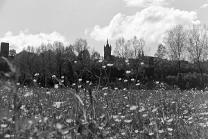 Rhine Impressions: Homburg (Neckar), Gundelsheim, Wimpfen (Neckar)
