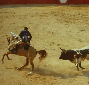 Portugal Drucke: Portugal, Albufeira, Stierkampf