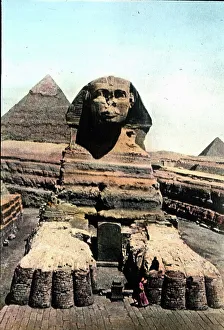 Lion Prints: Im Wunderland des Nils - Streifzuge durch Ogypten Im Wunderland des Nils - Streifzüge durch -gypten