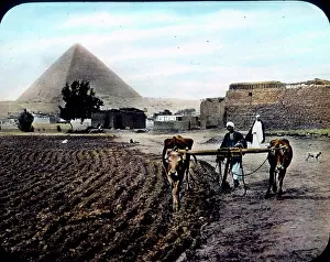 Im Wunderland des Nils - Streifzuge durch Ogypten Im Wunderland des Nils - Streifzüge durch -gypten