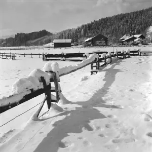 Zaun Impressions: Allgäu Immenstadt