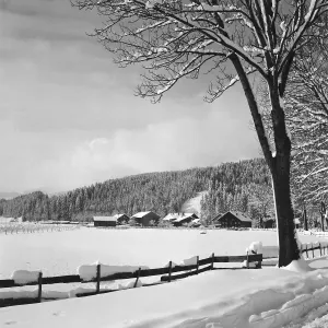 Nebelhornbahn Stampe: Allgäu Immenstadt