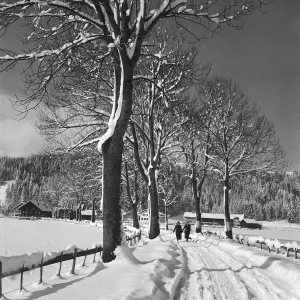 Allee Impressions: Allgäu Immenstadt