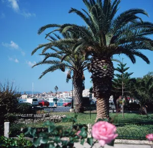 Insel Zakynthos