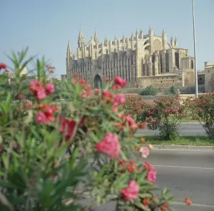 Mallorca Stampe: Spain, Mallorca, Palma