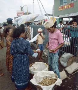 Jawa Imprime: Java / Indonesien