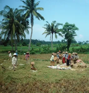 Grosse Sundainseln Impressions: Java / Indonesien
