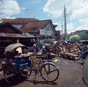 Java / Indonesien