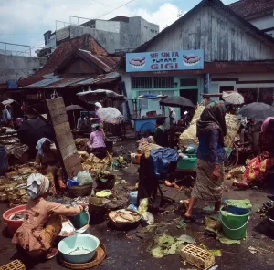 Java / Indonesien