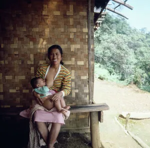 Java / Indonesien