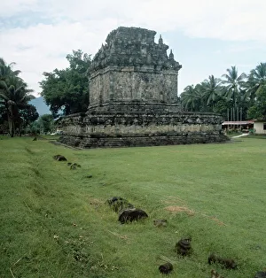 Java / Indonesien