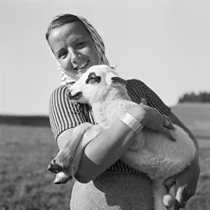 Tiere