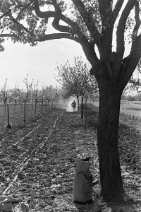 Rhine Prints: Kaub/Rhein und die Bergstraße