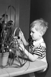 Un bambino che annaffia i fiori, Germania anni 30.