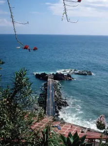 Portuguese Republic Stampe: Madeira / Portugal