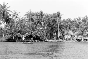 Lake Impressions: Laguna de Sinamaica