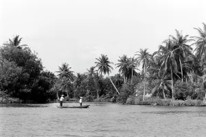 Lake Prints: Laguna de Sinamaica