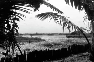 Lake Prints: Laguna de Sinamaica
