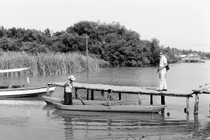 Lake Prints: Laguna de Sinamaica