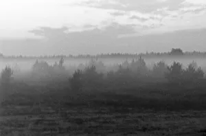 Niebla matutina cubre paisaje, Alemania 1930