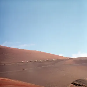 Bewolkt Prints: Lanzarote