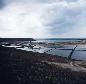 Kanarische Insel Prints: Lanzarote