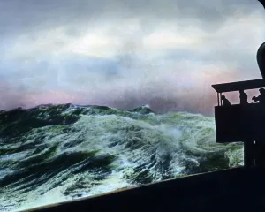 Leben im Meer