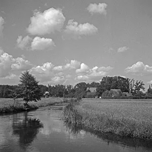 Lüneburger Heide