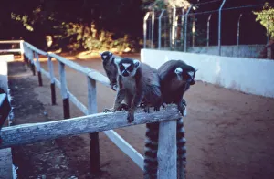 Madagaskar