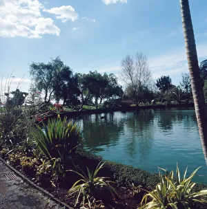 Ein Spaziergang durch den Parque Sao Francisco in Funchal, Madeira, Portugal 1980