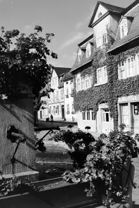 Historical Buildings Imprime: Bad Blankenburg Thüringen