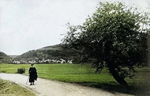 Meerfelder Maar
