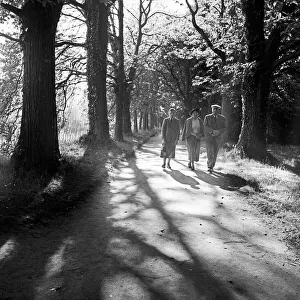 Allee Prints: Menschen