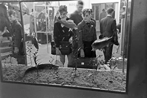 Messe di Lipsia del 1940