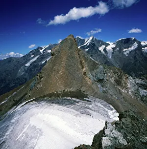 Mettelhorn