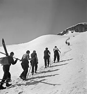 Panorama Prints: Mittelberg in -sterreich