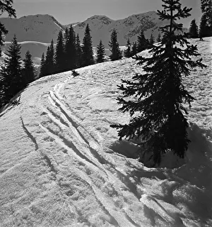Panorama Prints: Mittelberg in -sterreich