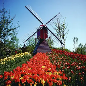 München