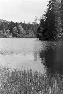 Naturpark Prints: Murrhardt